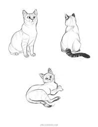 Cat Sketches Signed Giclee Fine Art Print Wall Art Tiere Zeichnen Katze Zeichnen Katze Zeichnung Anleitung
