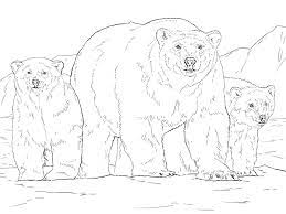 As always we gather some of the cutest coloring pages for you to download, print or color online. Realistic Polar Bears Coloring Page Free Printable Coloring Pages For Kids