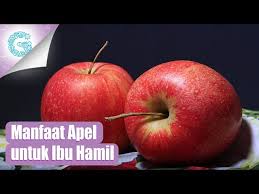 Tapi, kalau ibu hamil ingin makan sate kambing bisa timbul kekhawatiran nih. Manfaat Jambu Biji Untuk Ibu Hamil Guesehat Com
