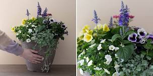 Make-n-Take: Heat Tolerant Container Garden at Mahoney's