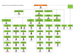 Organisation Chart