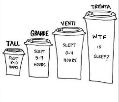 Size Chart Roaster Coffee Humor Starbucks Drinks