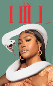 Custom piece by FAMU alumni Melissa Mitchell #RattlerPride