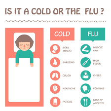 Toddlers can catch the flu, just like other people, and it can be hard to know when to seek help. Is It A Cold Or The Flu Familydoctor Org