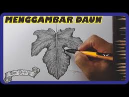 Cara Menggambar Daun Dengan Pensil Dan Teknik Arsirnya Youtube