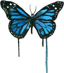 Patterns are saved as jpg images and png with transparent background. Download Blue Butterfly Watercolor Butterfly Blue Png Image With No Background Pngkey Com