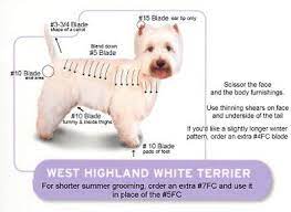 Westie Grooming Chart Dog Grooming Styles Dog Grooming Tips Dog Grooming