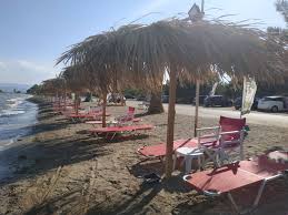 Trelh Rodia Beach Bar Eretria Eyboia Kalokairinos Polyxwros Faghto Kafes Aliberi Poto Ghpedo Beach Volley Eretria Eyboia Organwmenh Paralia Me