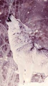 Pin De Dayi Leon En Wolf Fondo De Pantalla Lobo Lobo Fantasia Fondos De Pantalla Animales