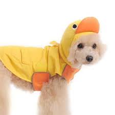 Little Yellow Ducky Dog Raincoat Rain Coat Dog Raincoat Designer Dog Clothes Dog Clothes