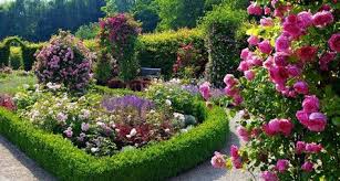 Das Rosengarten Zimmer Im Garten Der Sinne Im Saarlandischen Merzig Besticht Durch Seine Klassische Gestaltung Mit Buchsbaum Hecken Mit Bildern Garten Stauden Rankgitter