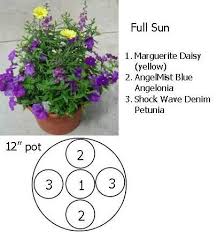 Pin By Pork Plants On Flowers Container Gardening Flowers Planting Pots Summer Planter