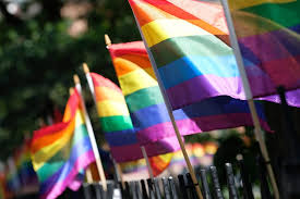 It all started in 1978 when a san franciscan artist, gilbert baker. Congress Calls On Pentagon To Remove Ban On Pride Flags