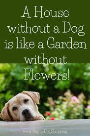 Dog Quotes Dog Quotes Dogs Dog Quotes Funny