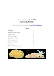 Image result for Cuviera tomentosa