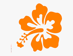 Download hibiscus flowers stock vectors. Coral Clipart Hibiscus Orange Hibiscus Flower Clipart Hd Png Download Kindpng