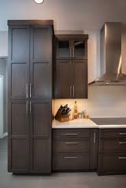 A Lofty Kitchen In Fort Worth Texas Was Designed With The Everything Is Bigger In Texas Mi Brown Kitchen Cabinets Interior Design Kitchen Home Decor Kitchen