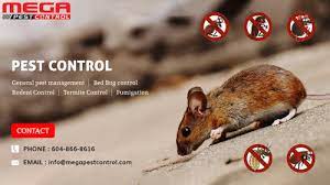 Get a free estimate for pest control service. Mega Pest Control