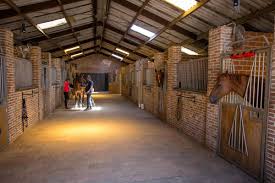 Avant la reprise, cela te permet de connaître ton cheval, son comportement et son humeur du jour, lui donner confiance en toi et lui donner l'envie de travailler. Les Proprietaires Peuvent Voir Leur Cheval Durant Le Confinement L Equipe