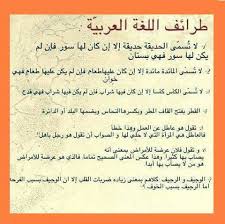 طرائف اللغة العربية عن المرأة