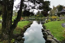 Please note the tea room is closed. Visit To Japanese Garden Dollar Rotary Club Of West Fife
