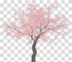 Pink Cherry Blossom Tree Illustration Cherry Blossom Tree Sakura Tree Transparent Backg Cherry Blossom Watercolor Cherry Blossoms Illustration Blossom Trees