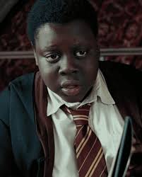 Steve Ibrahim (@steveibrahim_) • Instagram photos and videos