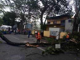 hujan makna hujan di kbbi adalah: Hujan Lebat Sebabkan Puluhan Pokok Tumbang