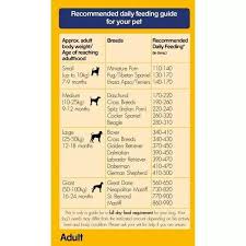 Check spelling or type a new query. What Amount Of Pedigree Is Needed For A 4 Month Puppy Quora