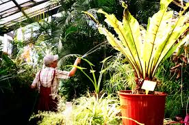 Eine handwerkerausstellung auf dem glände des botanischen obstgartens führte uns dorthin. Istanbuls Erster Botanischer Garten Deutsch Turkische Geschichte Mit Allen Sinnen Erspuren Treffpunkteuropa De
