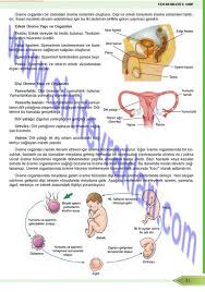 8 Sinif Ogun Yayinlari Fen Bilimleri Ders Kitabi Cevaplari Sayfa 31 8 Sinif Fen Bilimleri Ogun Yayinlari Ders Kitabi Cevaplari Sayfa 31 Kitap Sinif Ogun