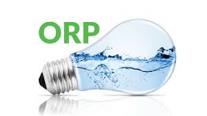 Understanding Orp Oxidation Reduction Potential