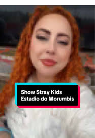 Minha Incrível Experiência no Show do Stray Kids