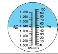 Most Accurate Sea Water Salinity Refractometer for Aquarium, 0% - 10%  Hydrometer