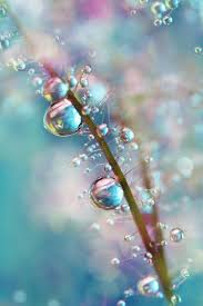 pastels water art dew drops nature photography