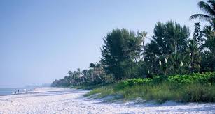 Driving distance from miami, fl to naples, fl is 125 miles (200 km). Best Beaches In Naples Florida Eden