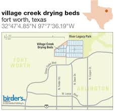 45 Village Creek Drying Beds Fort Worth Texas Birdwatching