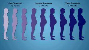 After 14 weeks, only use mva if the woman is in serious danger and you have no other way to help her. 5 Simple Pregnancy Exercises For Every Trimester Parents