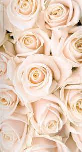 It's a small space and bold patterns can really transform this space into a whole new room. 46 Roses Aren T Red Ideas In 2021 Beautiful Flowers Flowers Flower Wallpaper