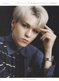 Download Vernon With White Hair Wallpaper