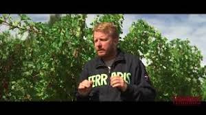 We did not find results for: Ferraris Agricola Ruche Wines Of Castagnole Monferrato Our Passion