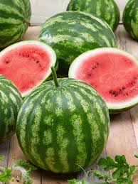 Watermelons need a long growing season (at least 80 days) and warm ground for seeds to germinate and grow. Watermelon Cal Sweet Bush All America Selections