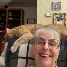 Why does these mushroom kept coming up in my plant? I pull them out and the  next day they are back!! I'm thinking about just repotting the plant with  new potting soil.