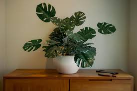 FOURTEEN ROSES BOUTIQUE HOTEL, KUTA ЛЕГИАН 4* (Индонезия)