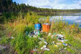 Effect Of Littering On Animals Environment