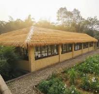 Tizen Wholesale Mexican Palm Leaf Thatch Roofing Style Seaside Beach Synthetic Faux Thatch Roof Artificial Thatch