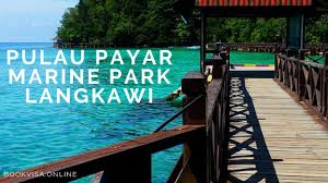 Organised by a company called andaman cruise.our passports clearances in malayisa and thailand was arranged by the agents and we are happy with their service. Pulau Payar Marine Park In Langkawi