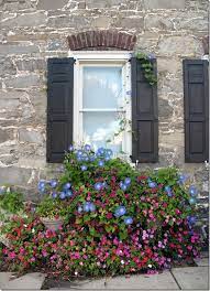 Impatients And Morning Glories Window Box Garden Window Box Flowers Window Boxes
