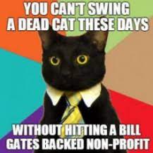 You Can T Swing A Dead Cat These Days Without Hitting A Bill Gates Non Profit Ll1885