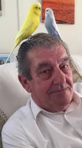 Amanda, Joanne, Mark, Samantha would like to say a very special 'Thankyou'  to everyone who took the time to come to our Beautiful Dad's (Brian  Robinson) Funeral yesterday. Although extremely hard and